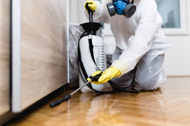 Best Affordable Pest Control Services  in North Kingsville, OH