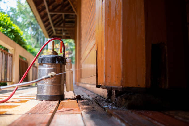 Best Mosquito Control Services  in North Kingsville, OH