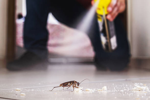 Professional Pest Control in North Kingsville, OH